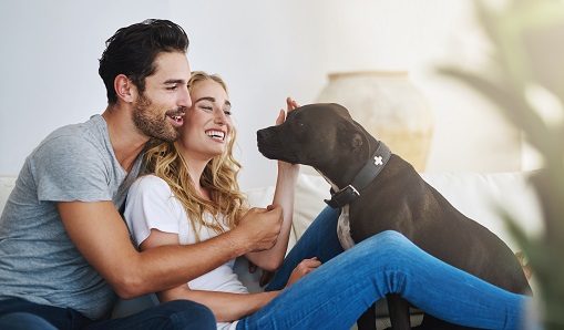 Lot’s of love in this home